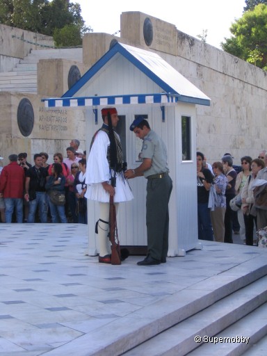 guards in front of the Parliament - back to browser