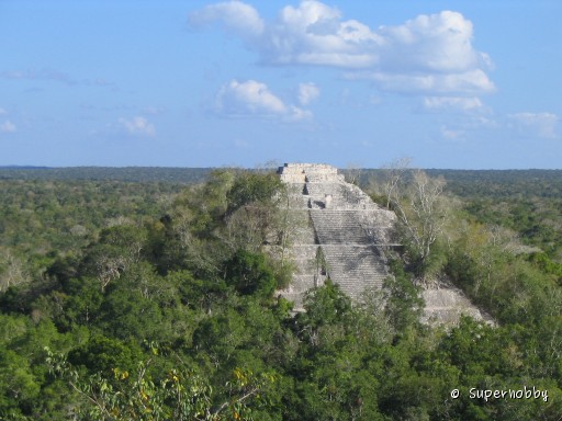 Struktur I in Calakmul - zurÃŒck zur Ãbersicht