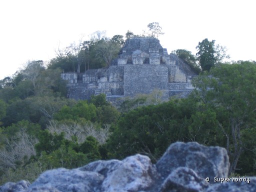 Struktur II in Calakmul - zurÃŒck zur Ãbersicht