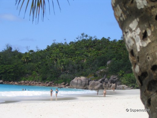 Anse Lazio auf Praslin - ganz schön voll - zurÃŒck zur Ãbersicht