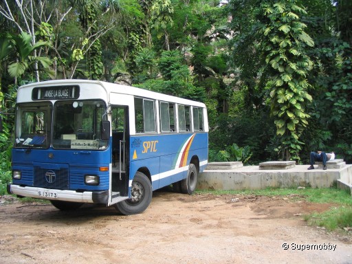 Bus mit Fahrer - zurÃŒck zur Ãbersicht