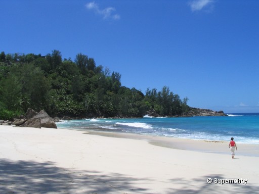 traumhaft - Anse Intendance auf Mahé - zurÃŒck zur Ãbersicht